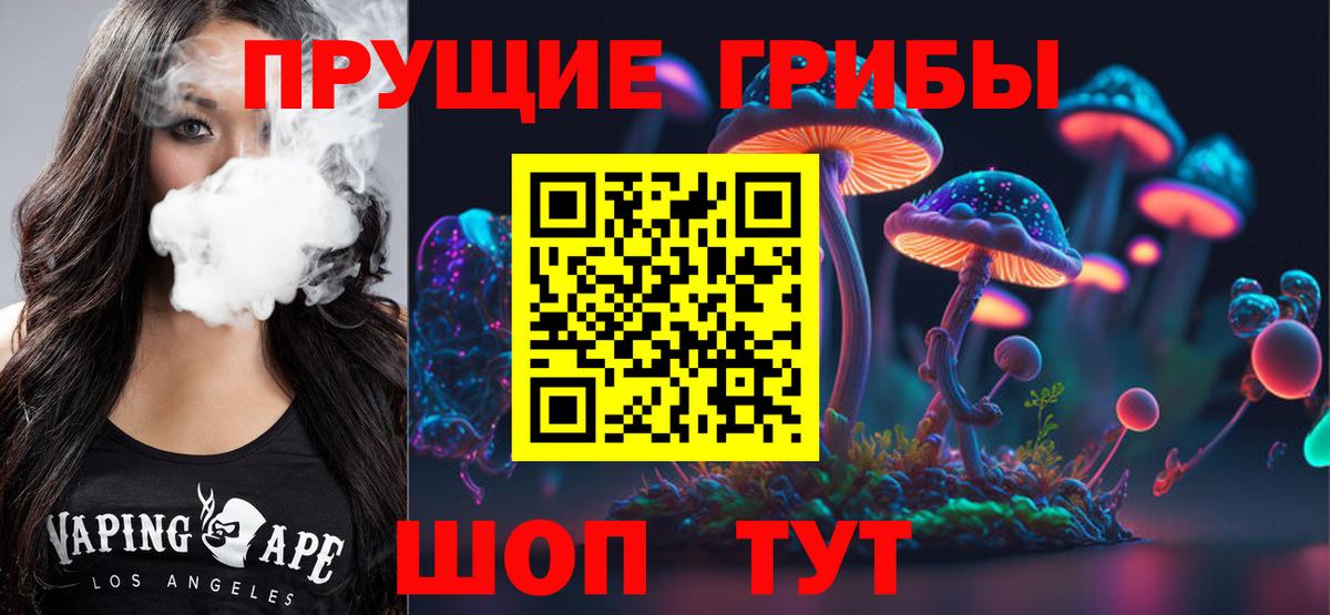 Ликино-Дулёво  Псилоцибиновые грибы GOLDEN TEACHER  Вход с VPN 